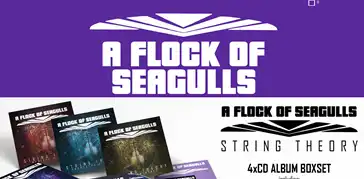 A Flock Of Seagulls