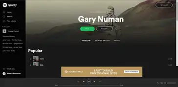 Gary Numan Spotify